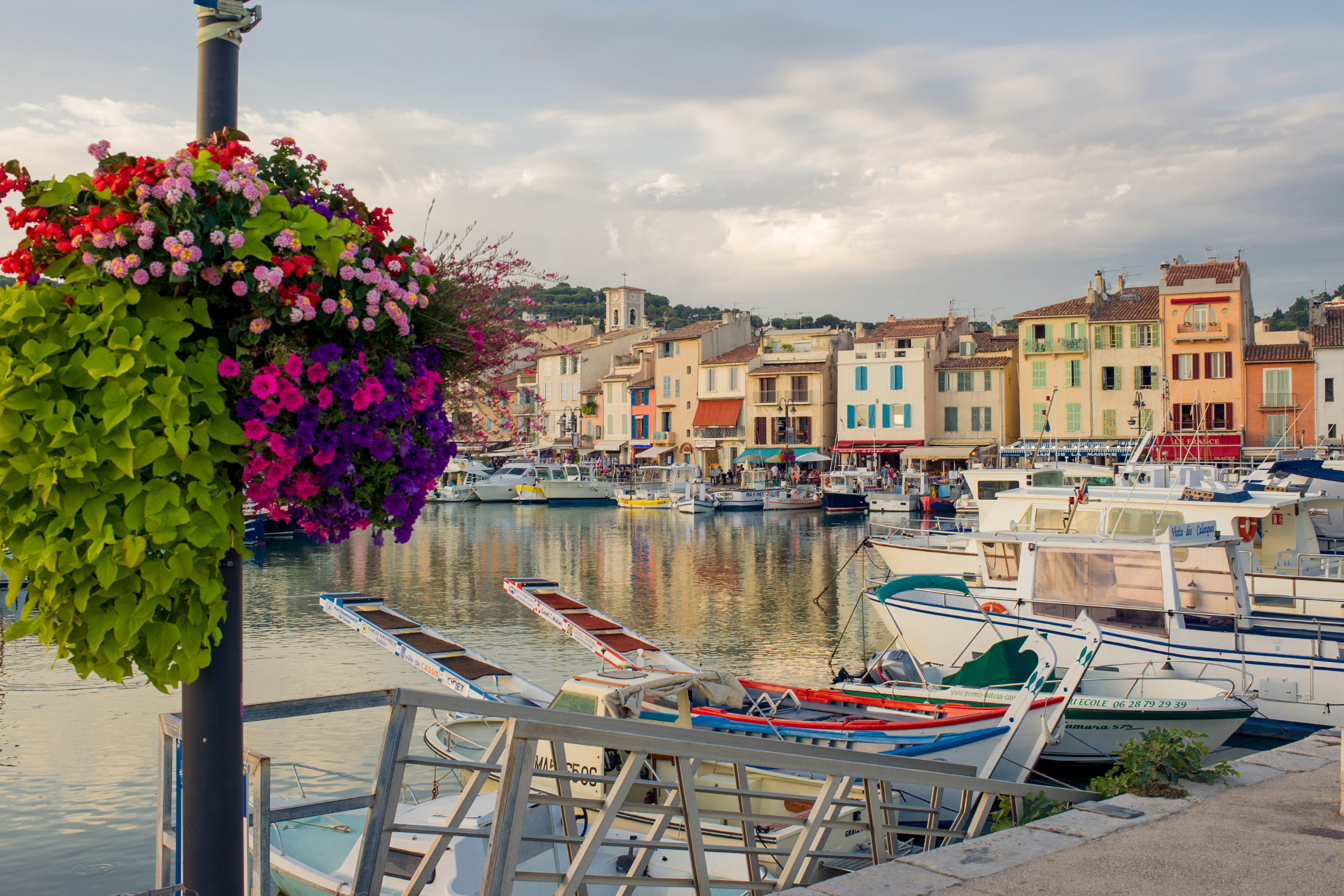 cassis (4).webp